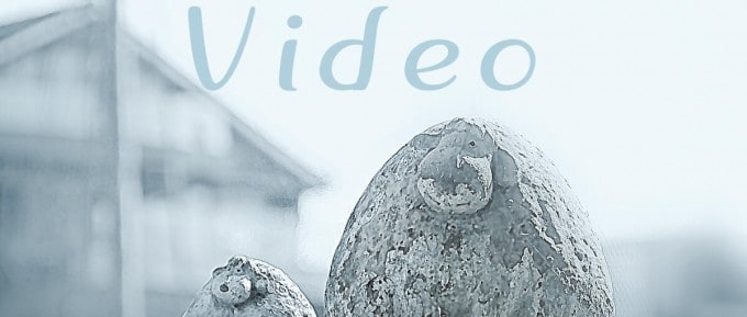 Video Deckblatt